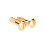 Винты для распределительной коробки/TV  розетки 2 шт. (золото) Ретро