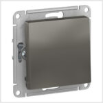 Выключатель 1-клавишный, сх.1, 10АХ, механизм, Сталь