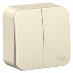 Schneider electric BLANCA 2-кл. ВЫКЛЮЧАТЕЛЬ (cх.5) ИЗОЛ.ПЛ., 10А, 250B,МОЛОЧНЫЙ