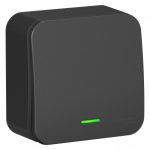 Schneider electric BLANCA 1-кл. ПЕРЕКЛЮЧАТЕЛЬ (cх.6) с подсв.ИЗОЛ.ПЛ,10А,250B,АНТРАЦИТ