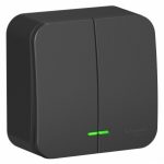 Schneider electric BLANCA 2-кл. ВЫКЛЮЧАТЕЛЬ (cх.5) с подсв.ИЗОЛ.ПЛ,10А,250B,АНТРАЦИТ