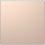 Клавиша одинарная Merten D-life шампань металл MTN3300-6051