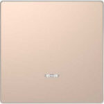 Клавиша одинарная с окошком Merten D-life шампань металл MTN3320-6051