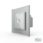 Одноклавишный проходной сенсорный выключатель Livolo Module с функцией радиоуправления, цвет серый