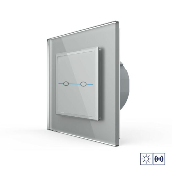 Сенсорный импульсный выключатель Livolo Quadro сухой контакт 2 клавиши 1 модуль Серый