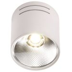 IL.0005.4015 Светильник LED 1*10W потолочный спот Белый