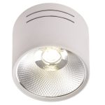 IL.0005.4115 Светильник LED 1*15W потолочный спот Белый