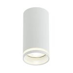 IL.0005.2000 WH Светильник GU10 1*10W потолочный спот Белый