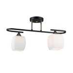 MD.5485-2-S-BK+FGD Люстра потолочная 2*Е27