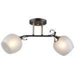 MD.5996-2-S-COFFEE+FGD Люстра потолочная 2*Е27