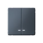 Systeme Electric ARTGALLERY 2-клавишный ВЫКЛЮЧАТЕЛЬ с подсветкой, сх.5а, 10АХ, механизм, ГРИФЕЛЬ