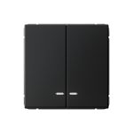 Systeme Electric ARTGALLERY 2-клавишный ВЫКЛЮЧАТЕЛЬ с подсветкой, сх.5а, 10АХ, механизм, КАРБОН