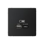 Systeme Electric ARTGALLERY USB РОЗЕТКА A + тип-C 45Вт высокоскор.заряд. QC, PD, механизм, КАРБОН