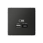 Systeme Electric ARTGALLERY USB РОЗЕТКА A + тип-C 45Вт высокоскор.заряд. QC, PD, механизм, БАЗАЛЬТ