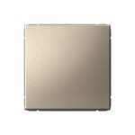 Systeme Electric ARTGALLERY 1-клавишный ВЫКЛЮЧАТЕЛЬ, сх.1, 10АХ, ШАМПАНЬ